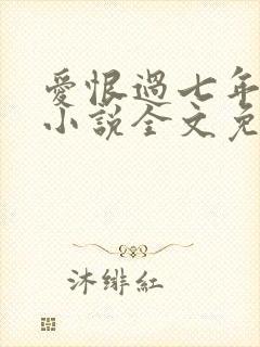 爱恨过七年原著小说全文免费阅读