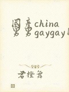 国产china男男gaygay网站