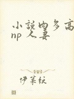 小说肉多高h np 人妻