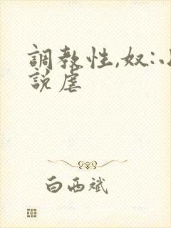调教性,奴:小说虐