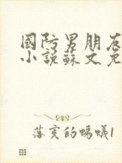 国防男朋友室友小说苏文免费阅读封面