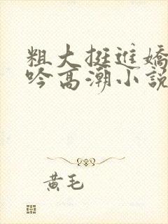 粗大挺进娇喘呻吟高潮小说