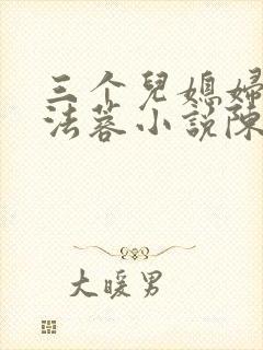 三个儿媳妇儿陈法蓉小说陈红封面