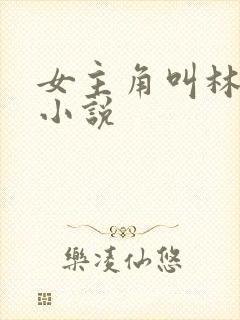 女主角叫林可的小说封面