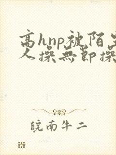 高hnp被陌生人操无节操小说