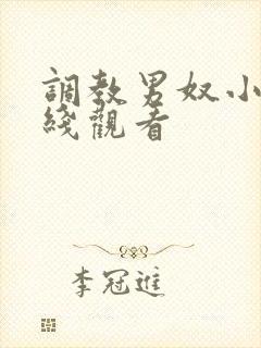 调教男奴小说在线观看封面