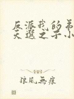 反派我的弟弟是天选之子小说