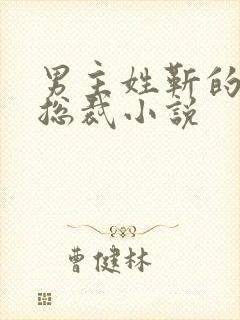 男主姓靳的霸道总裁小说