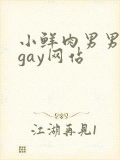 小鲜肉男男同性gay网站
