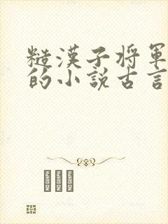 糙汉子将军男主的小说古言封面