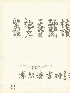 紫袍天师林天小说免费阅读全文