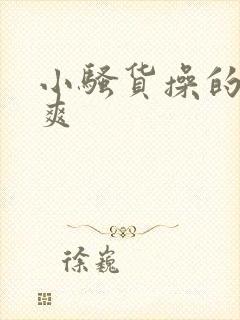 小骚货操的爽不爽