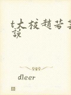 t大校赵若芸小说