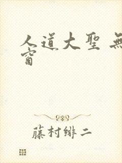 人道大圣 无弹窗