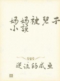 妈妈被儿子同学小说