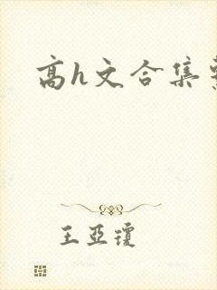 高h文合集系列