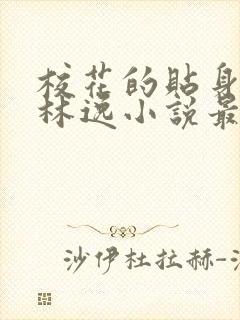 校花的贴身高手林逸小说最新章节在线封面