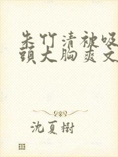 朱竹清被吸乳奶头大胸爽文