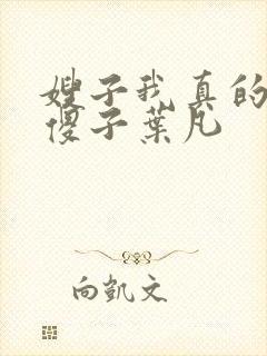 嫂子我真的不是傻子叶凡