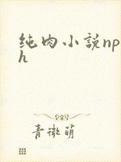 纯肉小说np高h
