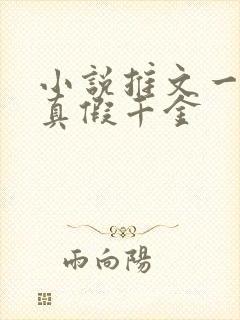 小说推文一口气真假千金