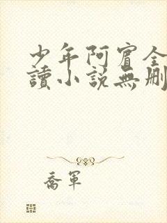 少年阿宾全文阅读小说无删减封面