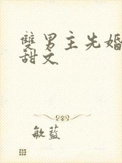 双男主先婚后爱甜文