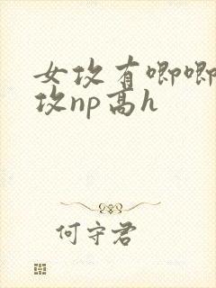 女攻有唧唧的女攻np高h封面