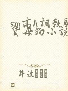 sm高h调教骚货母狗小说封面