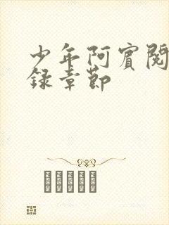 少年阿宾阅读目录章节