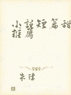 小说短篇甜宠文推荐