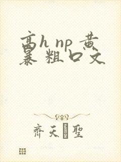 高h np 黄暴 粗口文