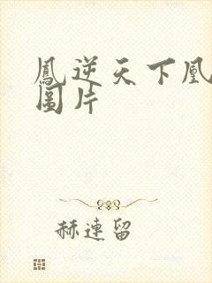 凤逆天下凰北月图片封面