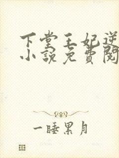 下堂王妃逆袭记小说免费阅读全文