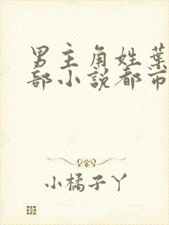 男主角姓叶的全部小说都市