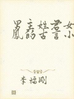 男主姓君女主姓凤的古言小说