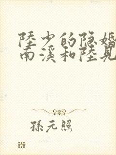 陆少的隐婚罪妻南溪和陆见深封面