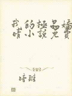 我的极品娇妻苏晴小说免费阅读封面