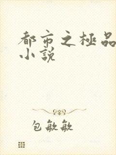 都市之极品后宫小说