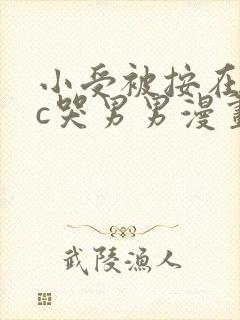 小受被按在墙上c哭男男漫画封面