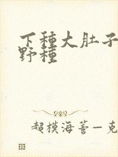 下种大肚子怀孕野种