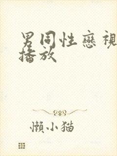 男同性恋视频可播放