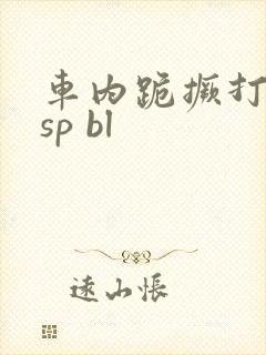 车内跪撅打屁股sp bl封面