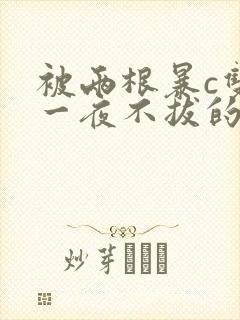 被两根暴c双性一夜不拔的小说