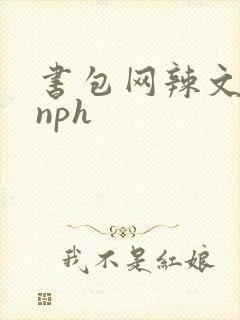 书包网辣文古代nph
