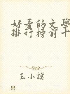 好看的文学小说排行榜前十名封面