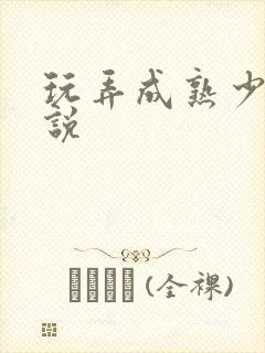 玩弄成熟少妇小说