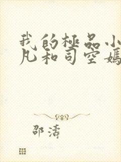 我的极品小姨叶凡和司空嫣的小说
