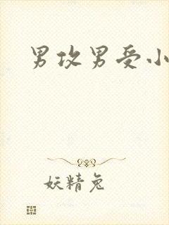 男攻男受小说h