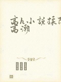 高h小说揉阴蒂高潮